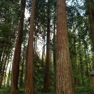 Meet your Posher, Raymond